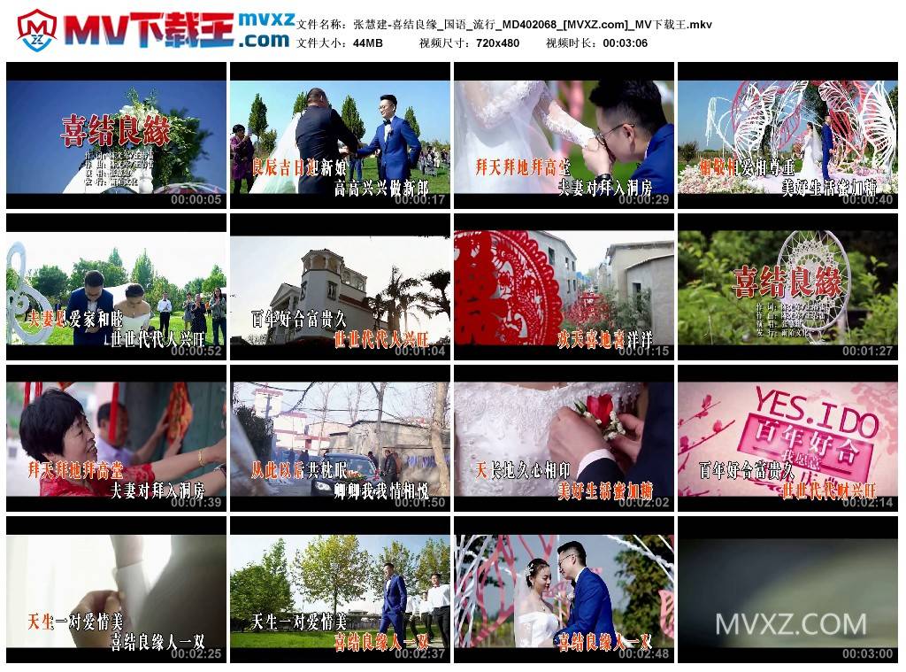 张慧建-喜结良缘_国语_流行_MD402068